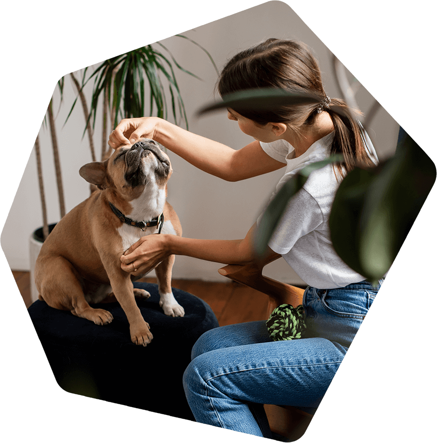 FluentPet Community to Support You