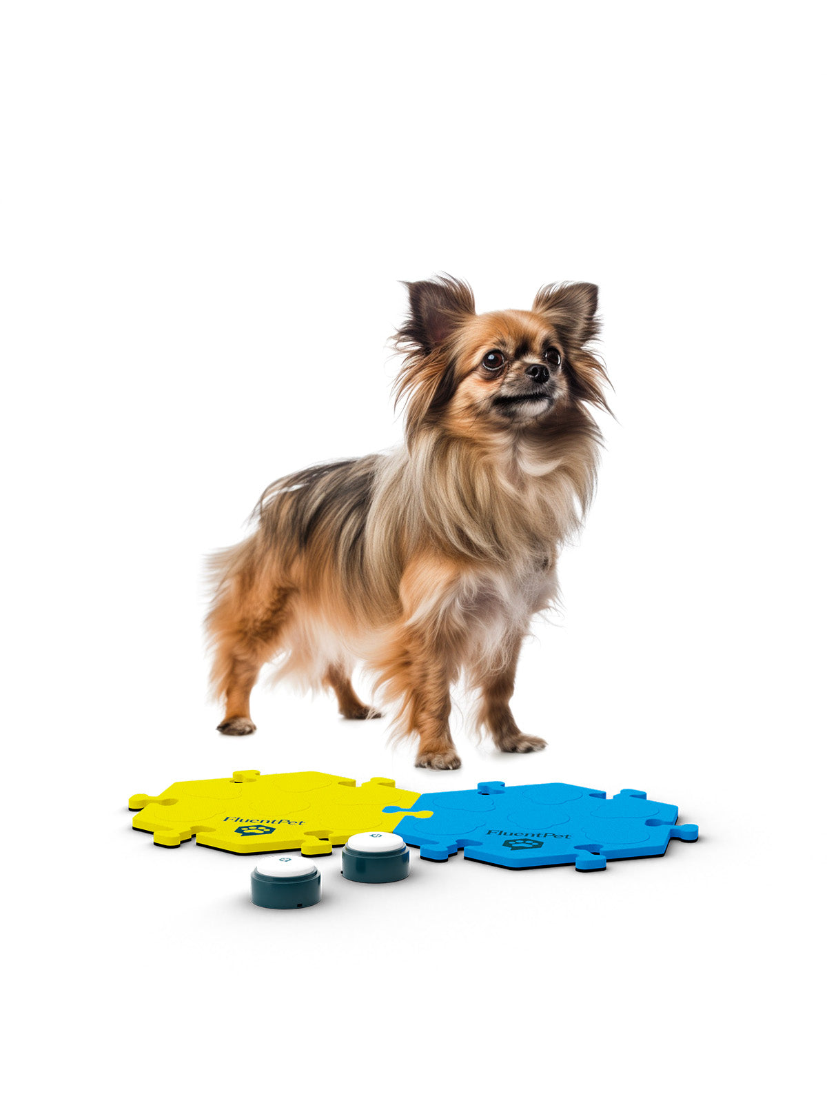 Hesitant learners are often cautious when trying new things. Our Tester Kit provides two buttons to get them started. However, because these learners tend to accelerate once they start pressing, a bigger kit might be helpful based on your learner’s style.