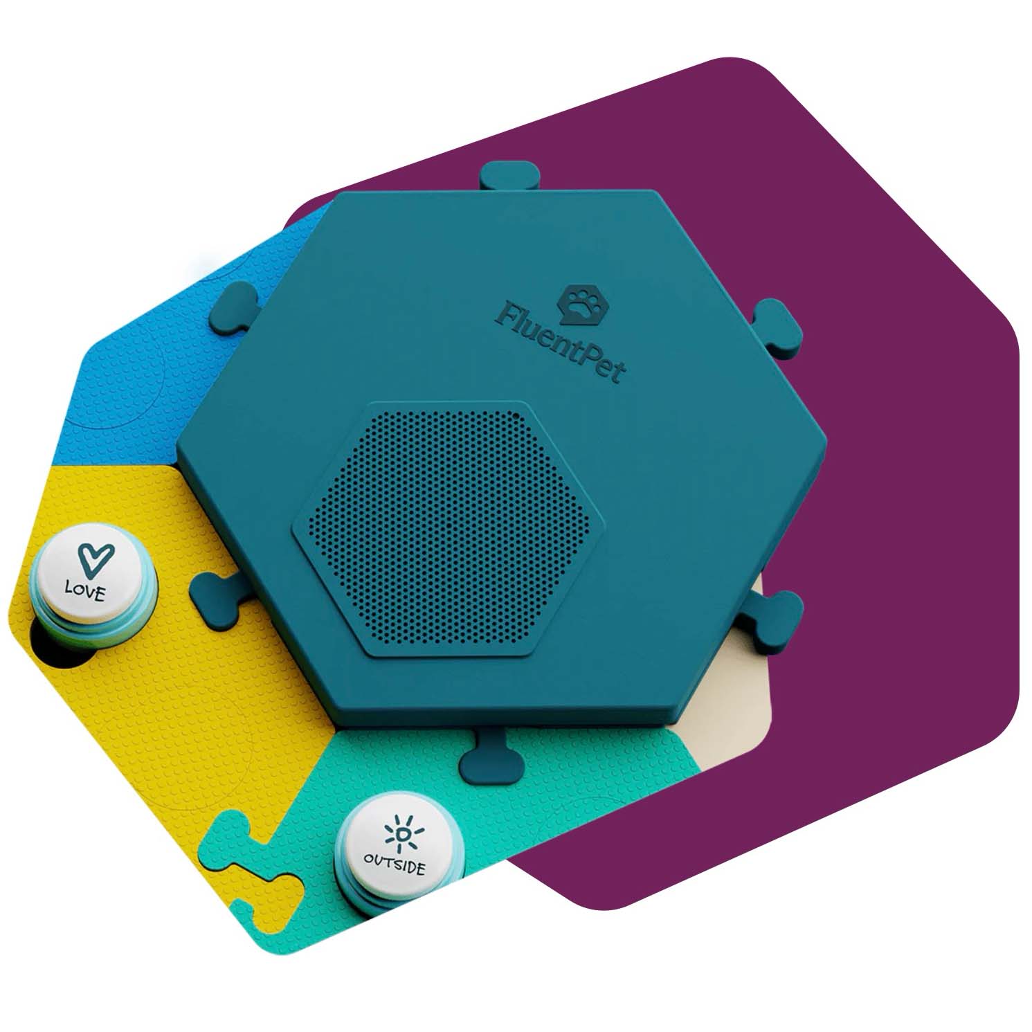 The FluentPet Connect Base