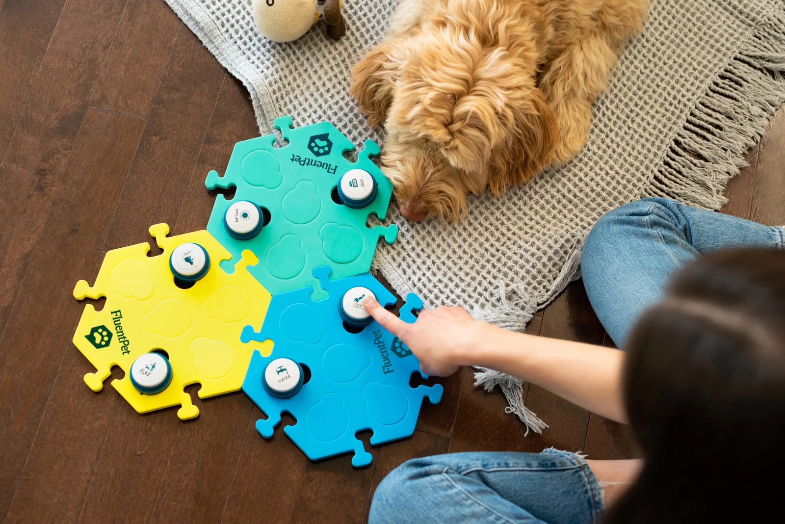 Women showing her dog how to presse talking buttons