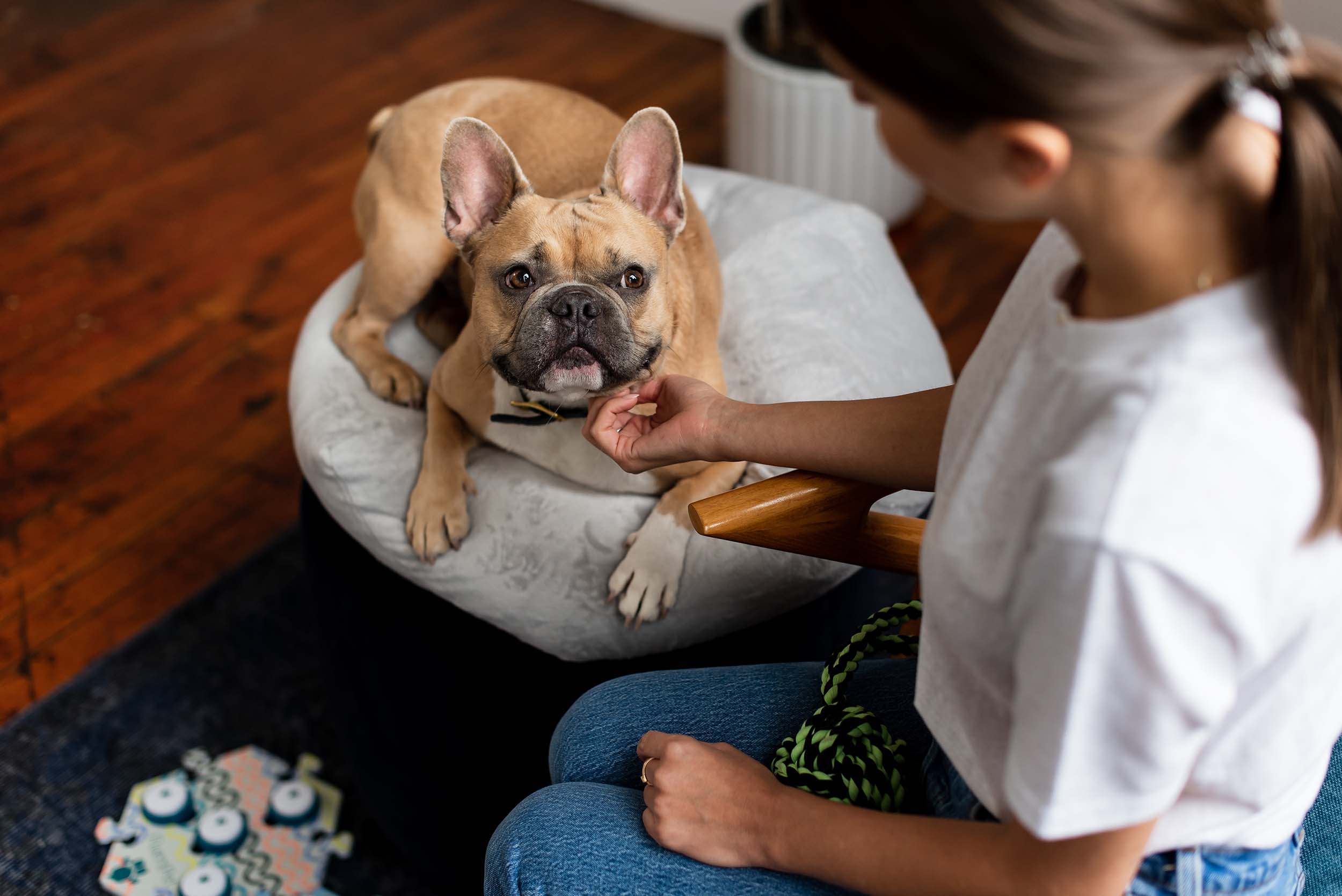 FluentPet's Complete  Guide To Teaching Dogs To Talk with Buttons