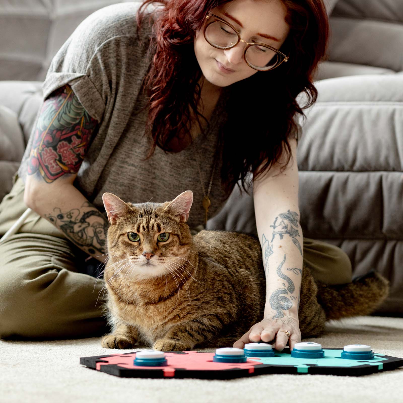 Cat using FluentPet HexTiles and Buttons