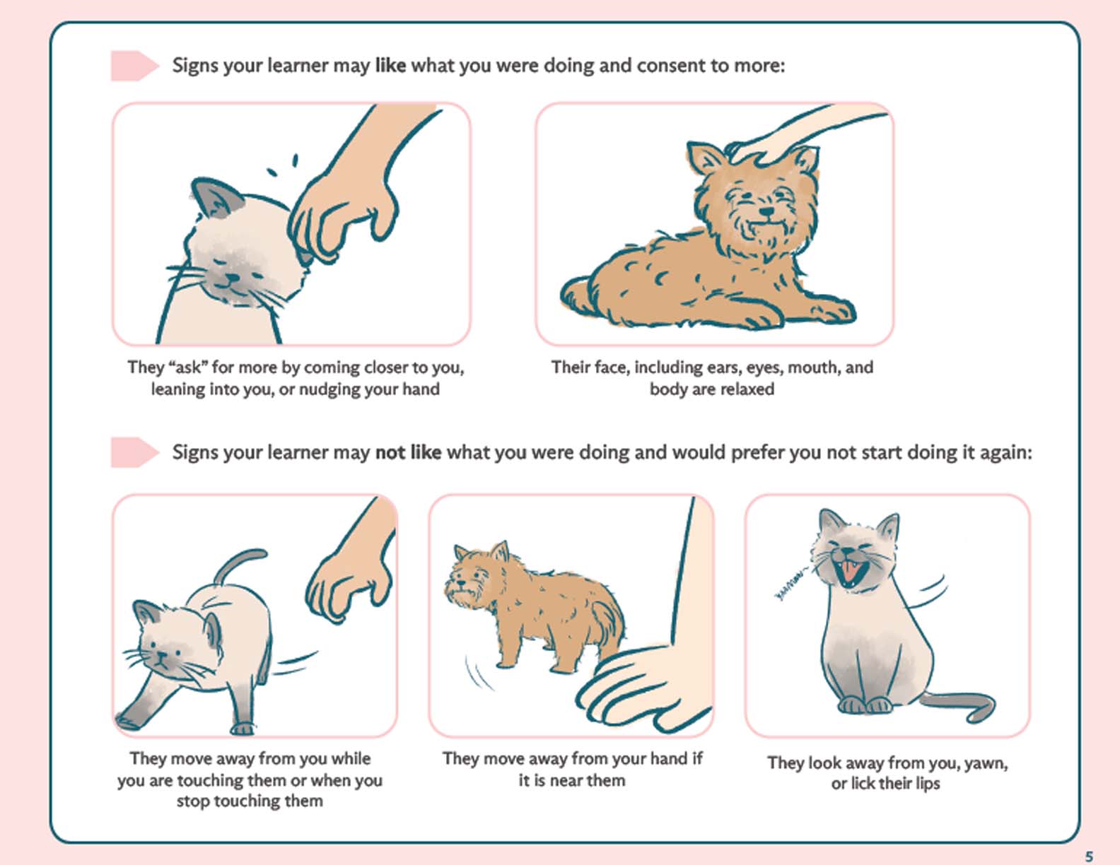 A page from the Junior Teacher Workbook.