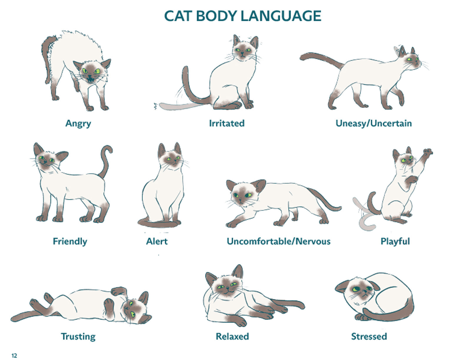 A page from the Junior Teacher Workbook.