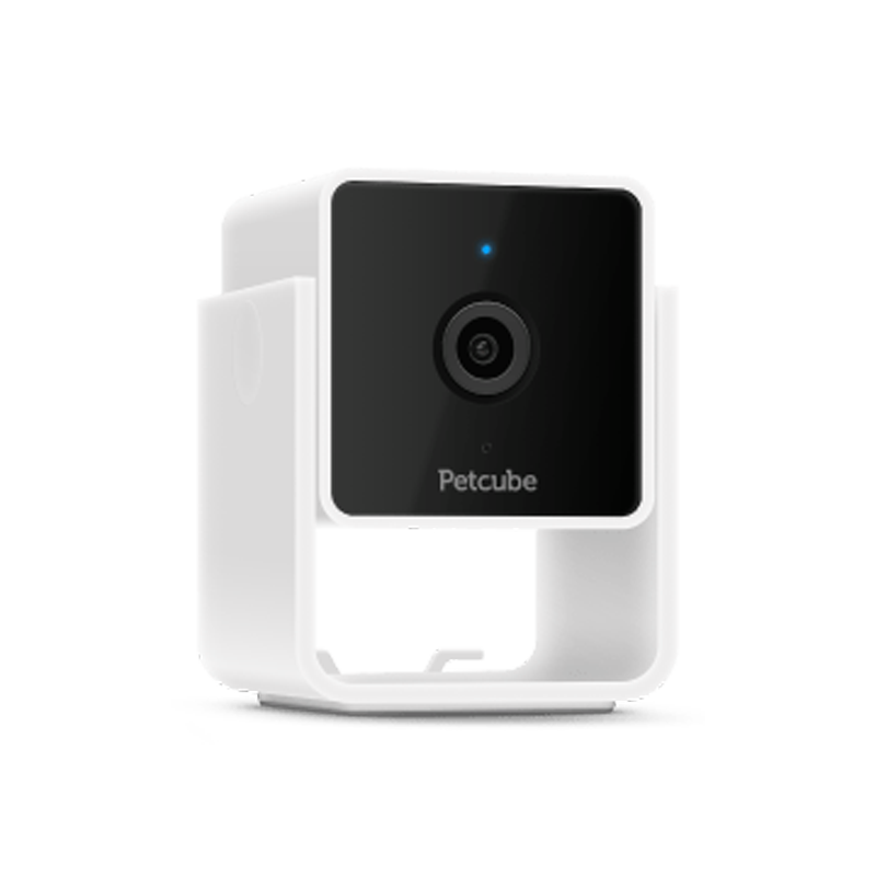 PetCube Camera