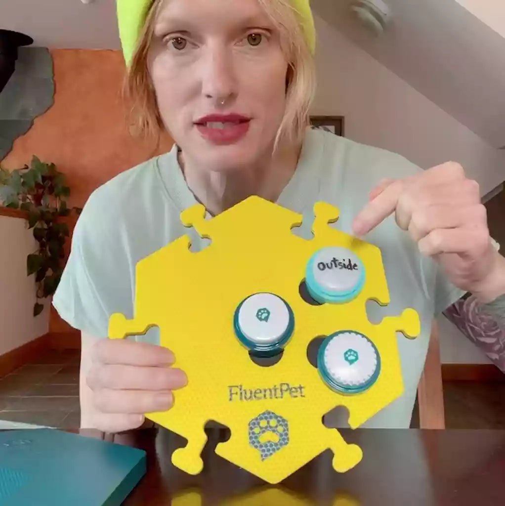 videowise-widget-69a1f4cab45cf100481a93e6-7533456949405