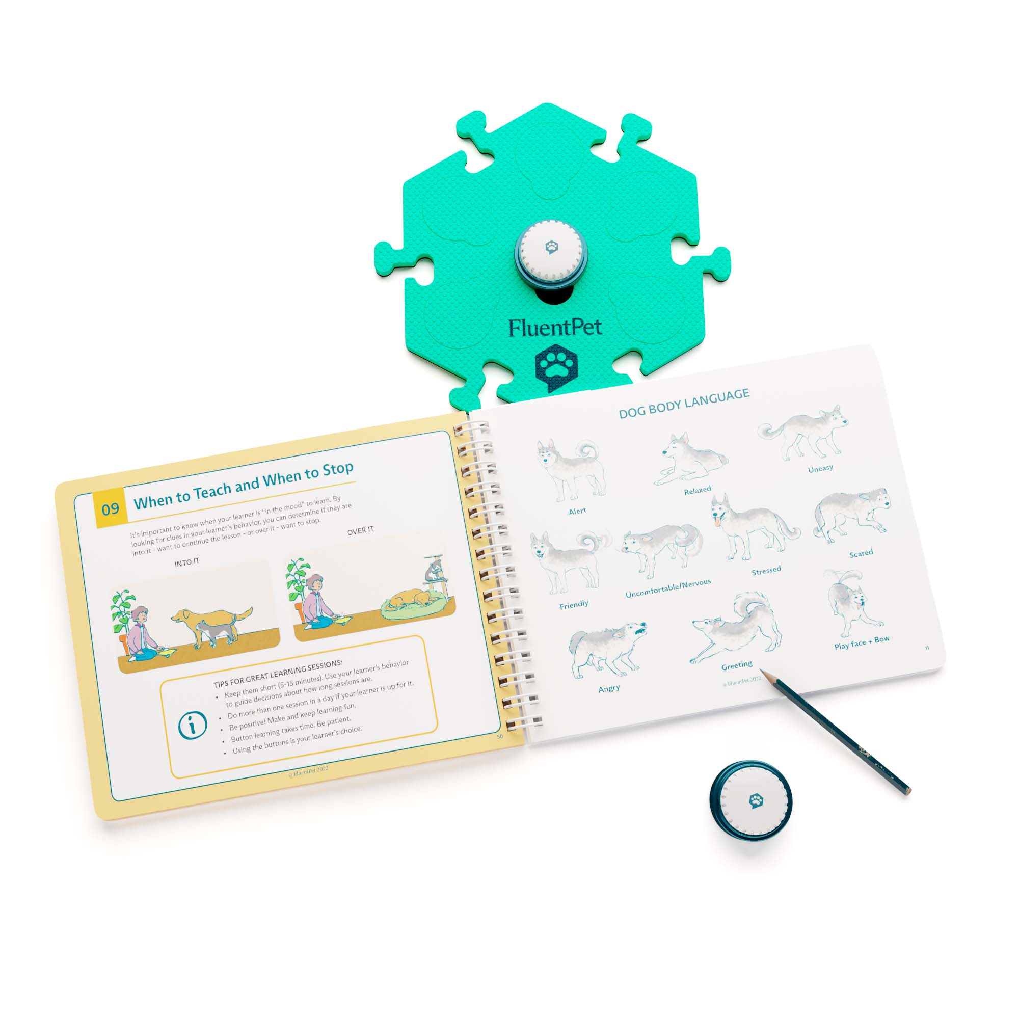 A spread of the FluentPet Junior Teacher Workbook.