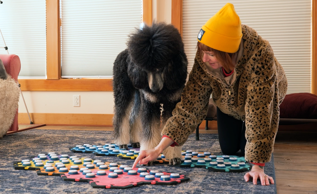 Do Dog Buttons Really Work? A Cognitive Scientist's Perspective.