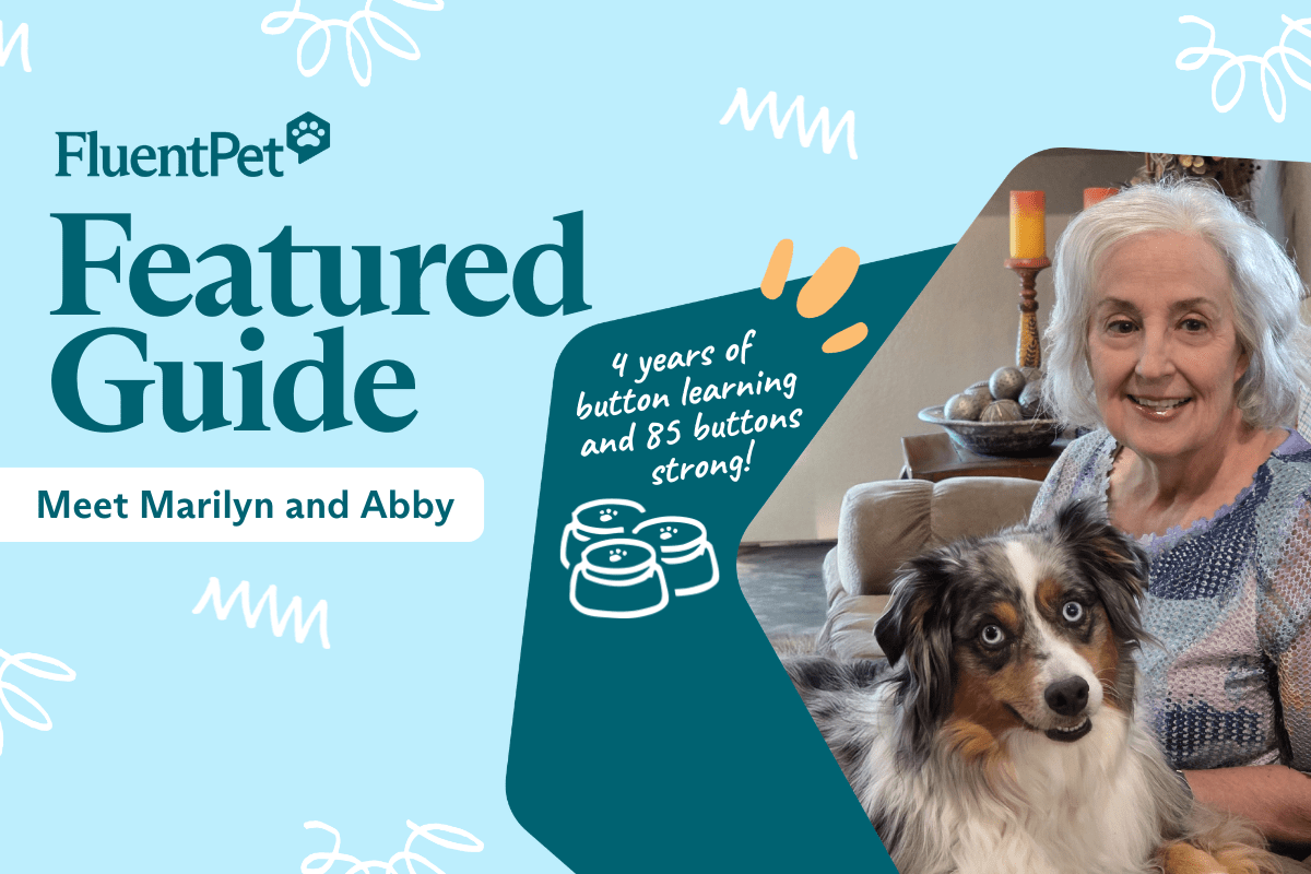 Meet Marilyn and Abby: The Miniature Australian with 85 Buttons