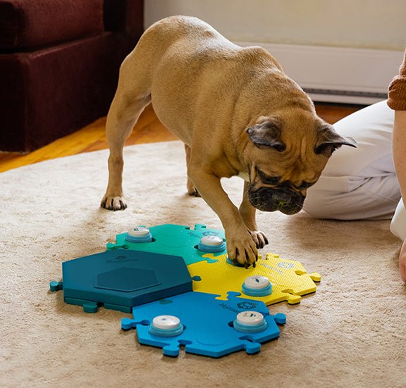 FluentPet Connect Selected as CES 2023 Innovation Awards Honoree