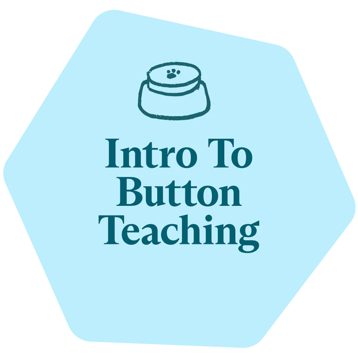 Intro to Button Teaching