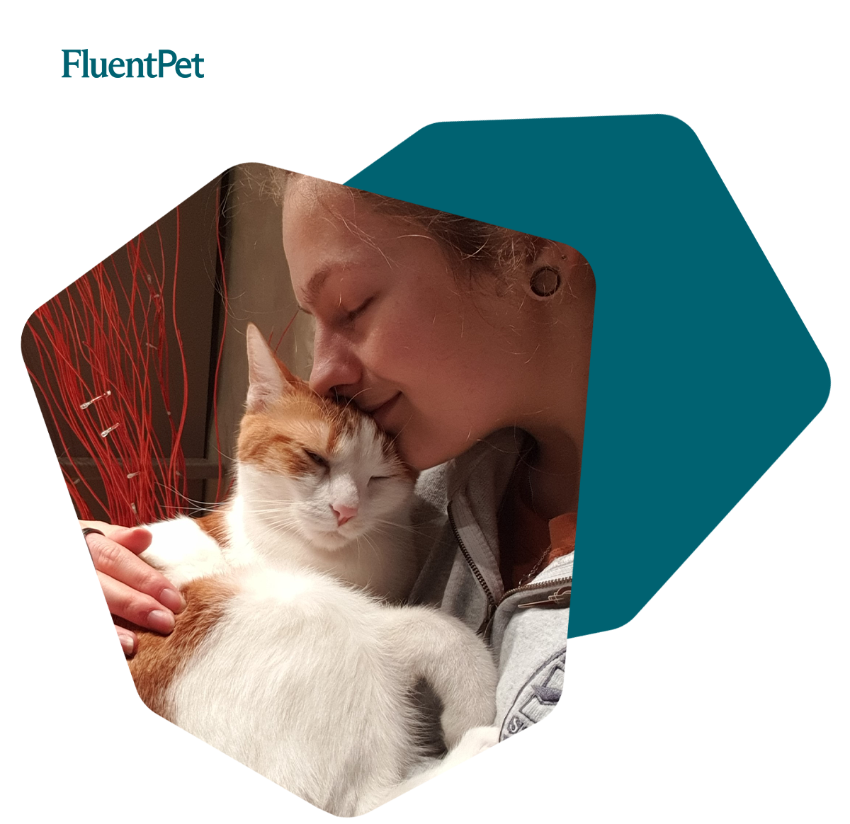 Featuring Flint, the French Feline @flintcantalk