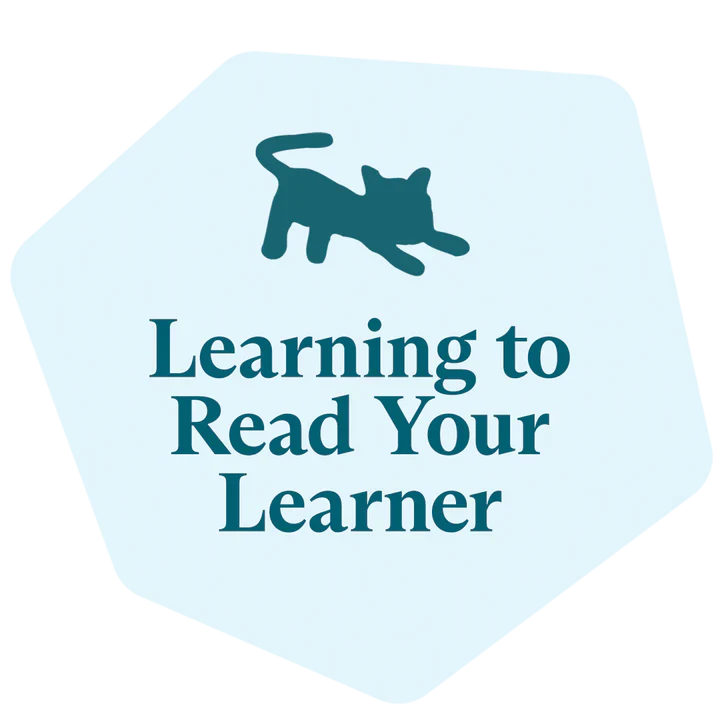 Learn to Read Your Learner