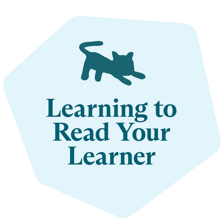 Learn to Read Your Learner