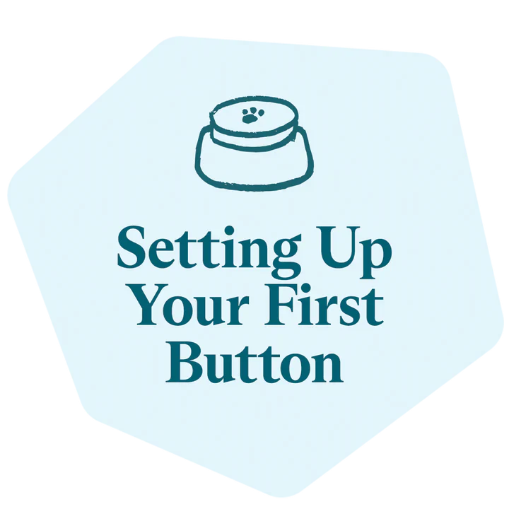 Setting Up Your First Button