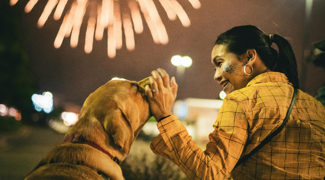 It’s Firework Season—Do You Know Where Your Dog Is?