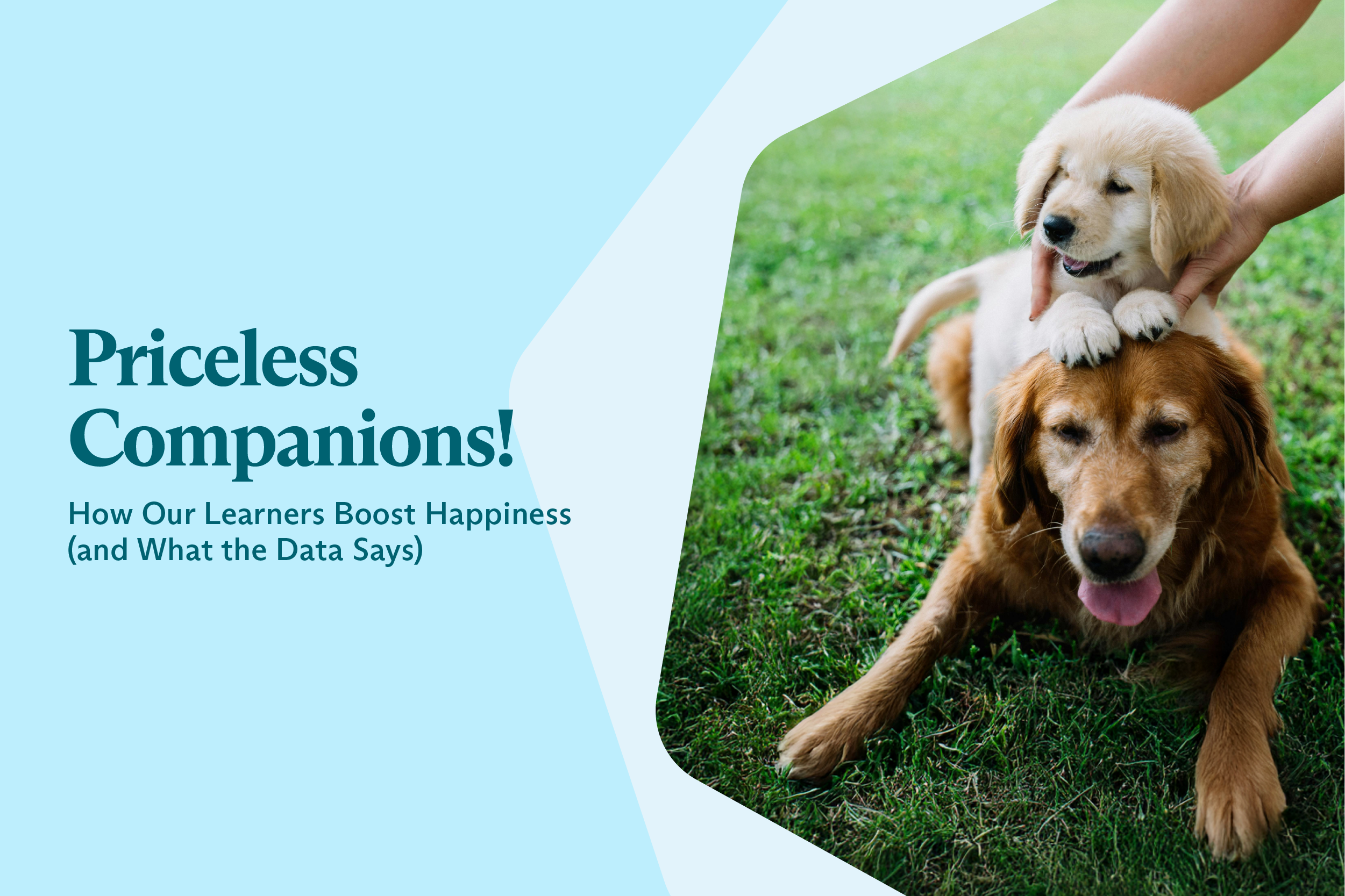 Priceless Companions