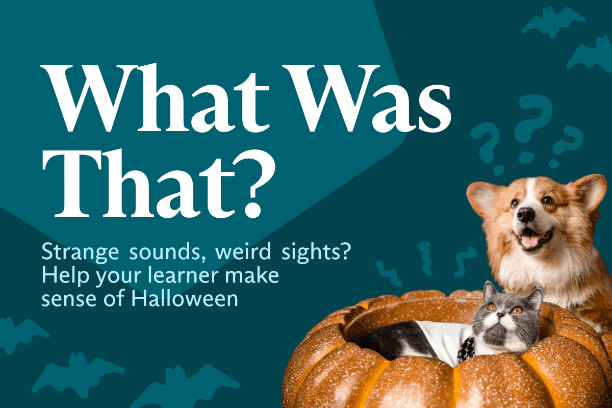WHAT WAS THAT?