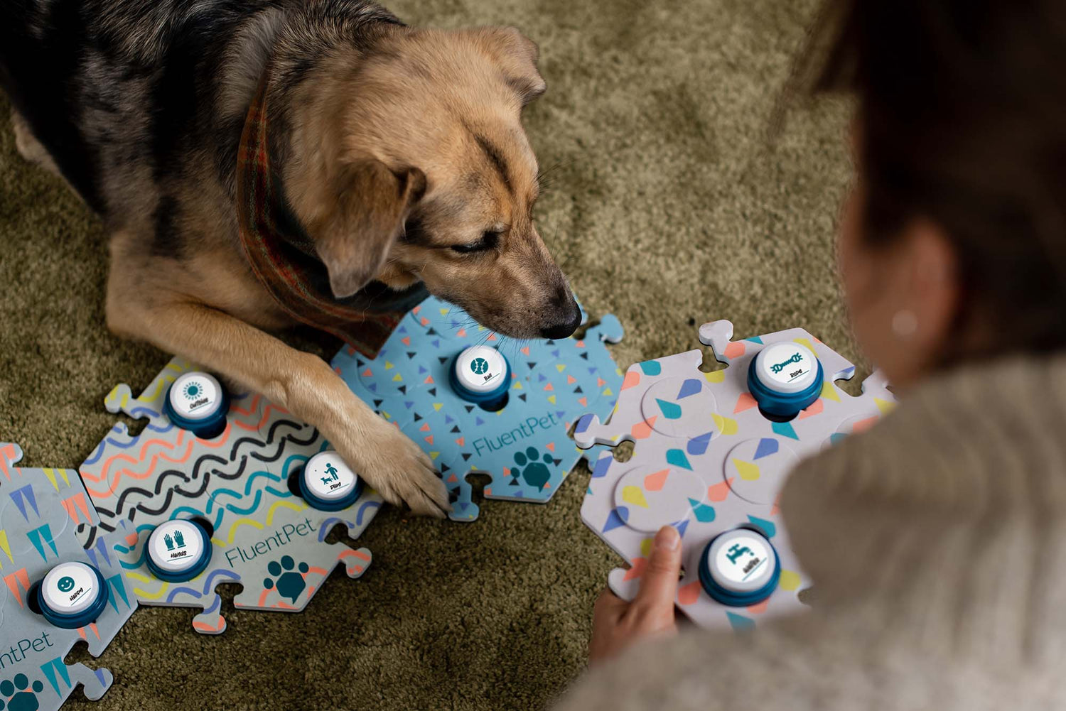 Can dogs (or other animals) actually use buttons to talk?