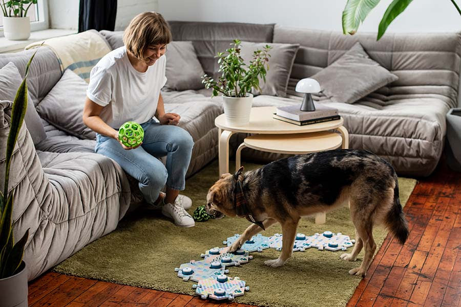 How many words can dogs really recognize?