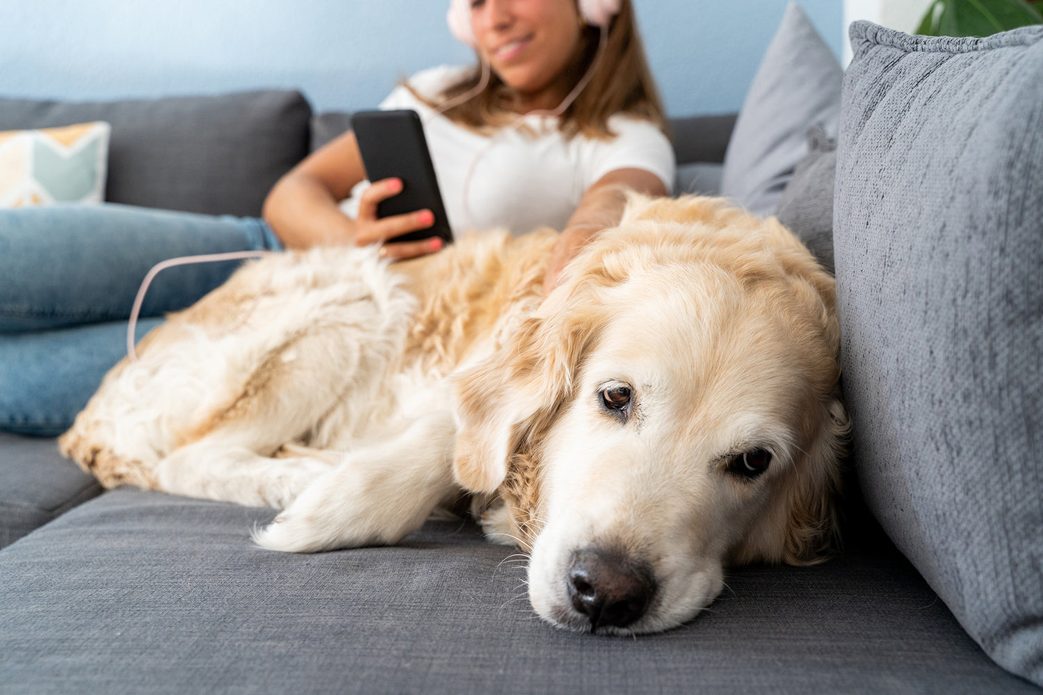How to Read Your Dog’s Body Language