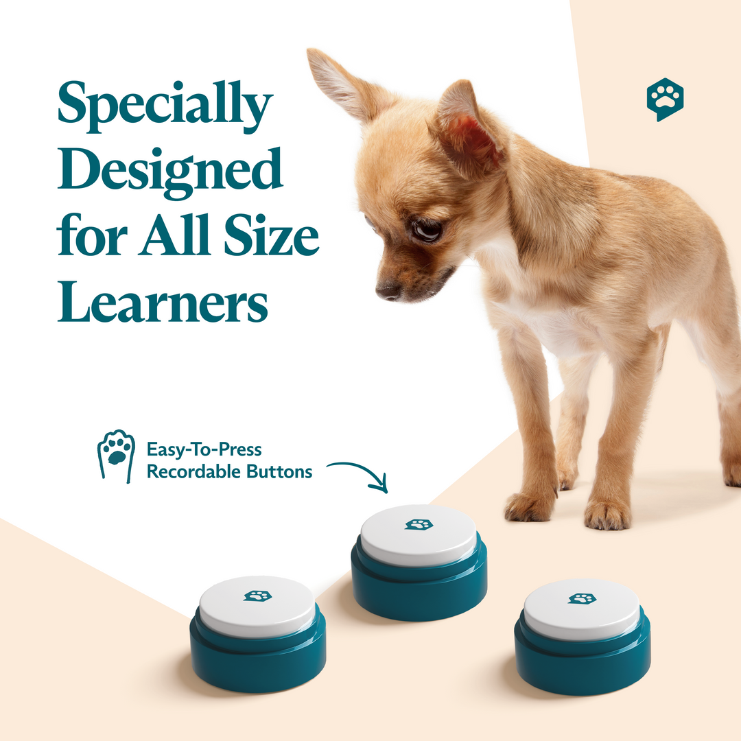 FluentPet Sound Button for Dogs Cats by FluentPet