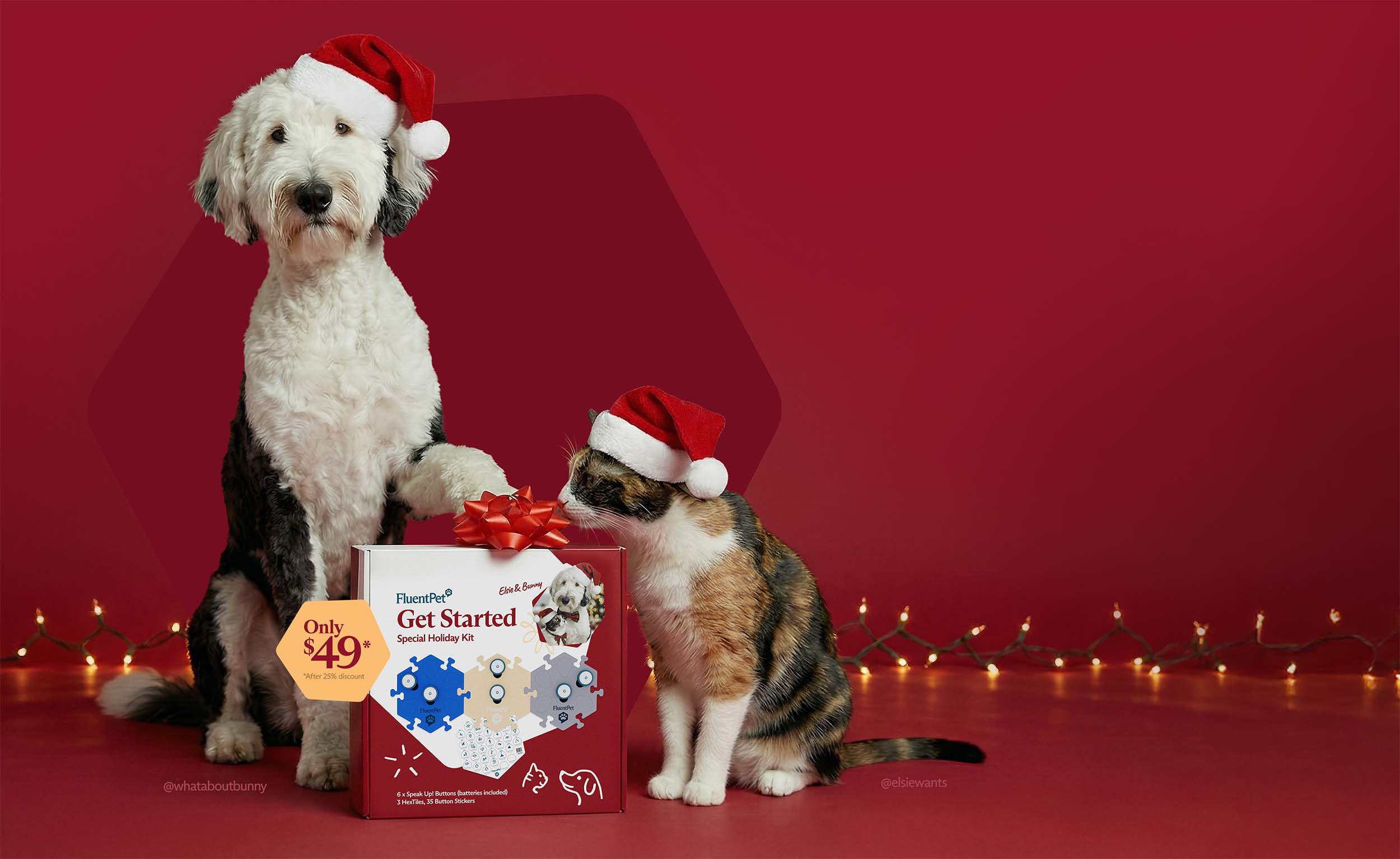 A fluffy dog and a calico cat, both wearing Santa hats, pose with a FluentPet "Get Started" Special Holiday Kit, priced at $49, against a festive red background with glowing Christmas lights.
