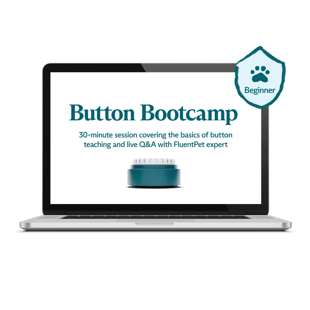 Bootcamp for sales beginners near me