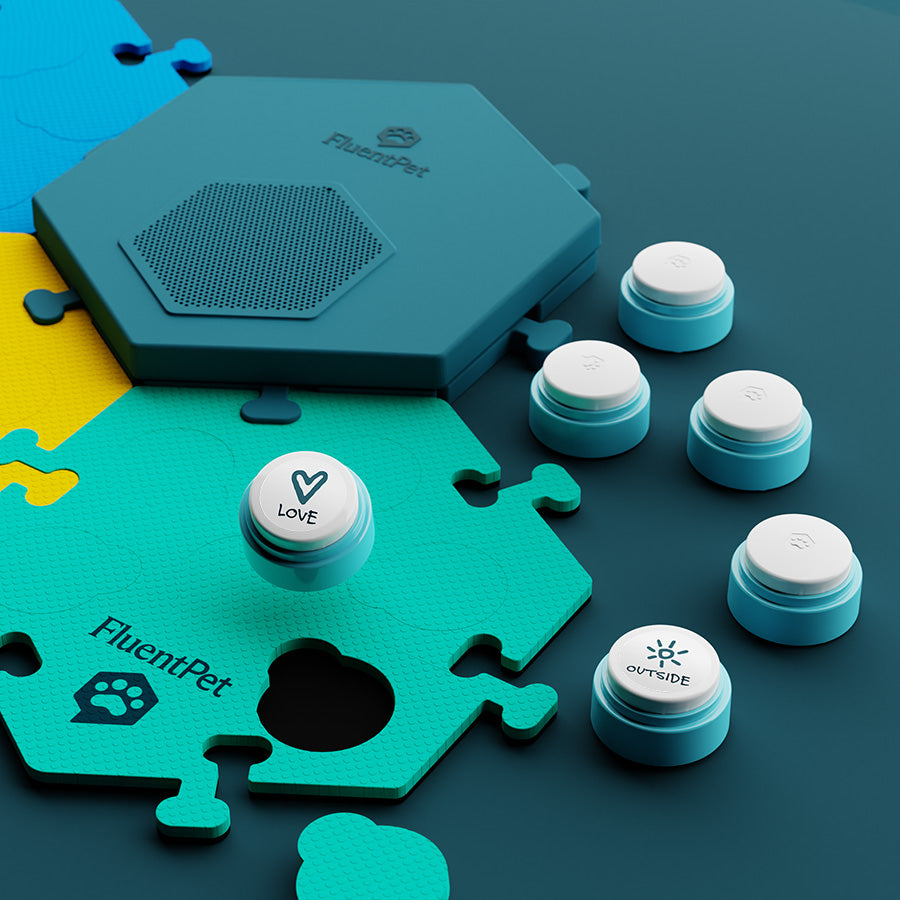 Connect Buttons link wirelessly to the Connect Base, which plays words/sounds when the button is pressed. There is no limit to how many buttons can be connected to the Base, making it cost effective to grow your system with your learner’s vocabulary.