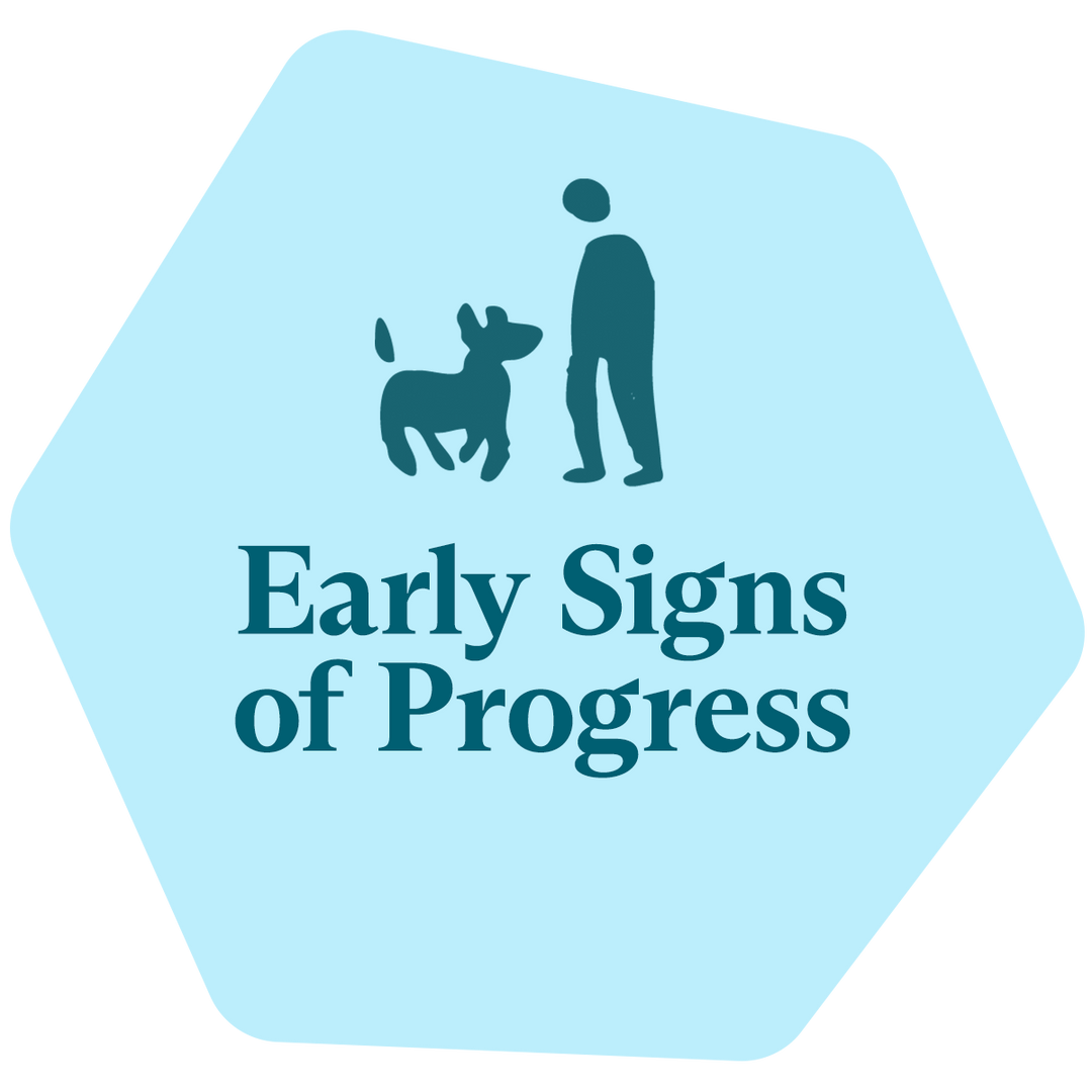 Learning Center FluentPet