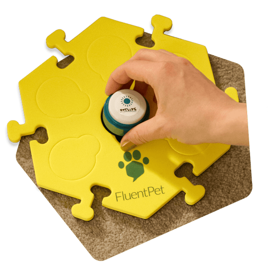 How Do FluentPet Talking Buttons Work? A StepByStep Guide