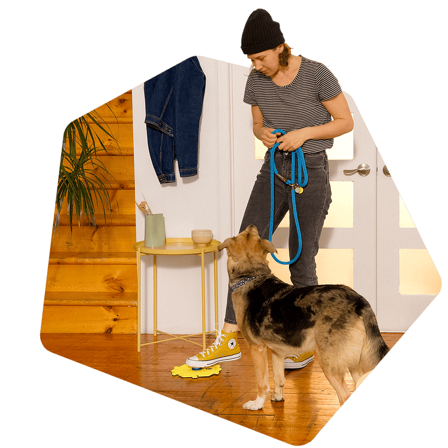 How Do FluentPet Talking Buttons Work? A StepByStep Guide