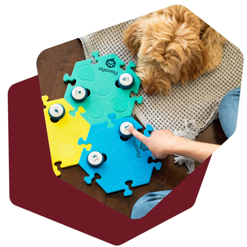 Top view of a young woman teaching her dog to talk with a FluentPet soundboard.