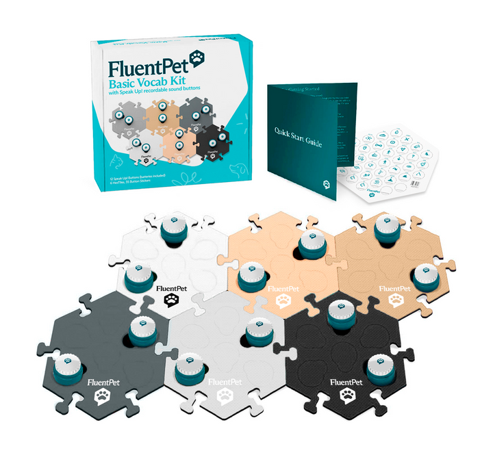 Key Vocab Kit – Neutral  Colors
