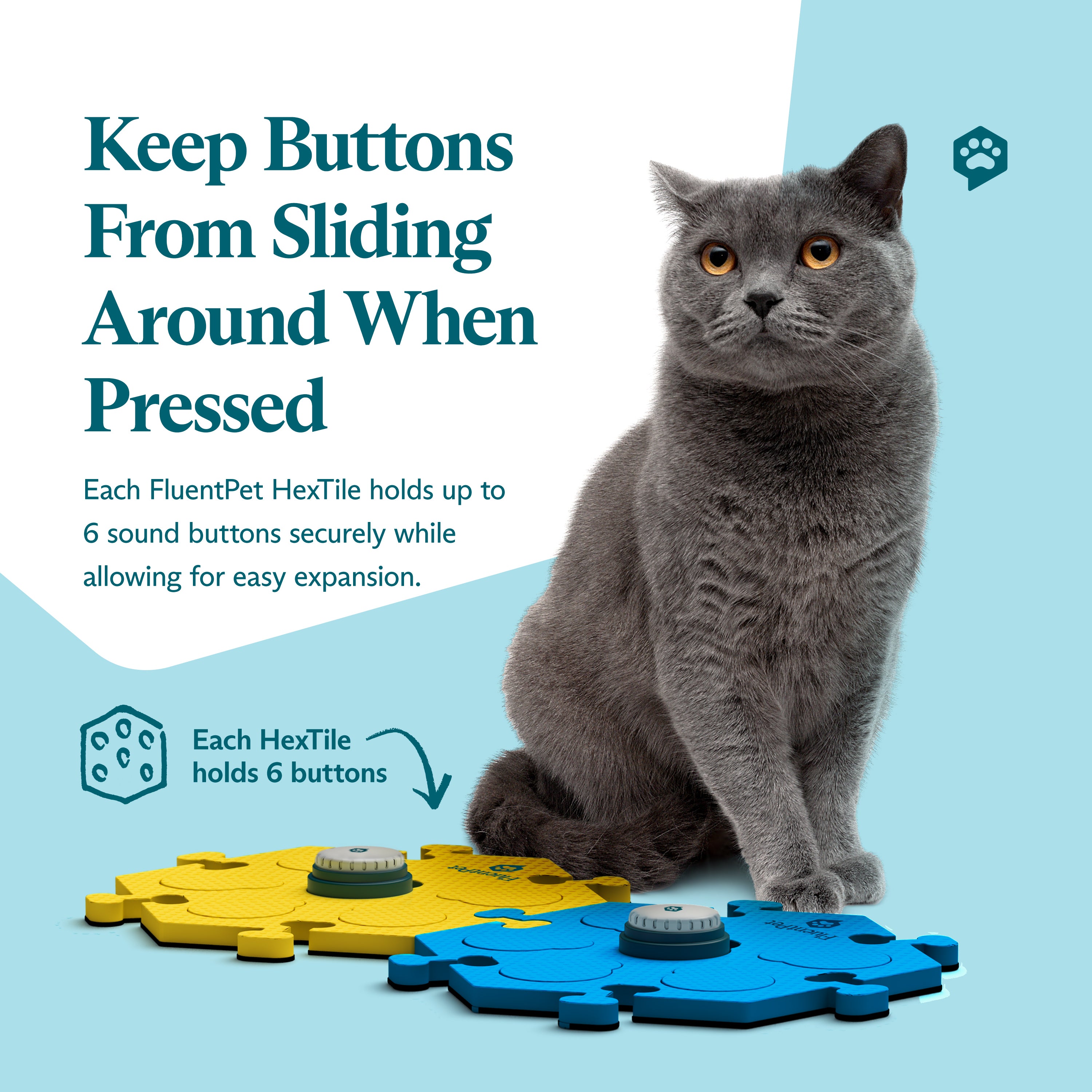 Tester Kit Bold