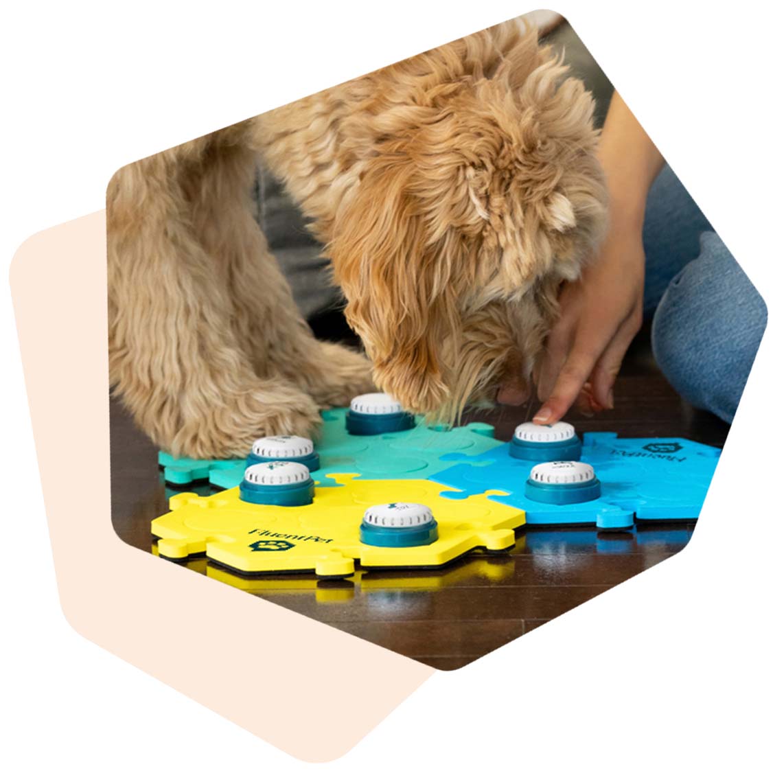 Color-coding different concepts provides visual cues that help learners quickly recognize and categorize words. This visual differentiation aids memory retention and retrieval, making it easier for learners to construct sentences​.