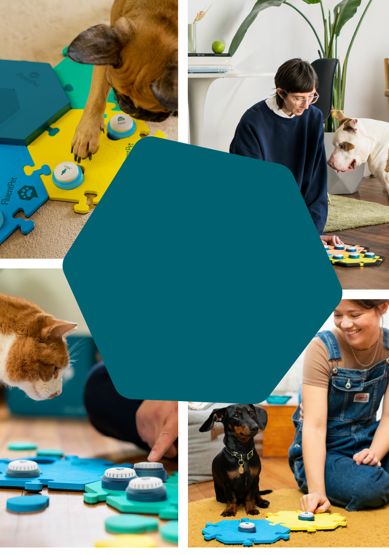 Talking Dog Cat Buttons by FluentPet Online Store