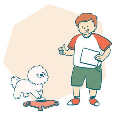 Explore exciting games and challenges to deepen their dog or cat’s understanding.