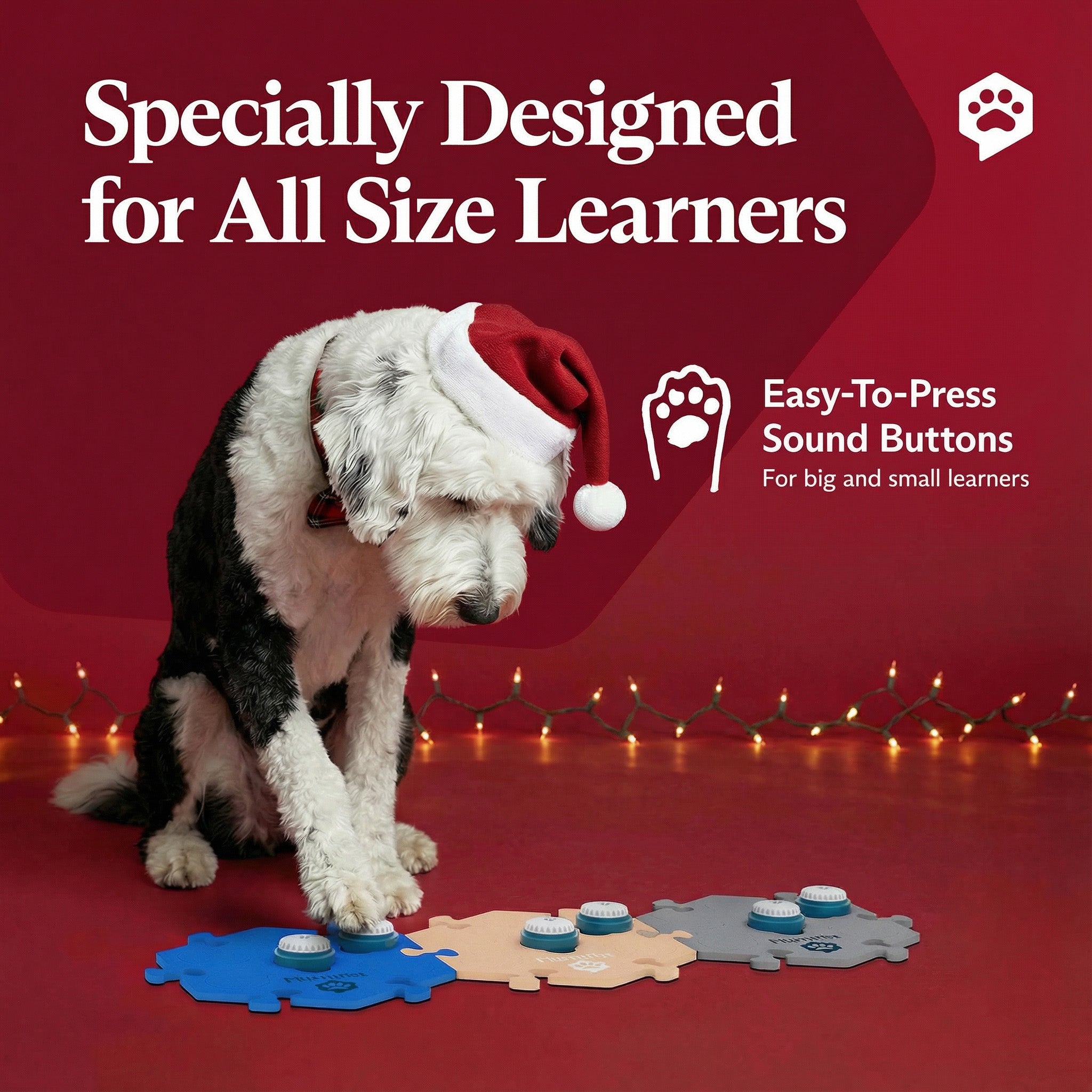 FluentPet Holiday Starter Kit