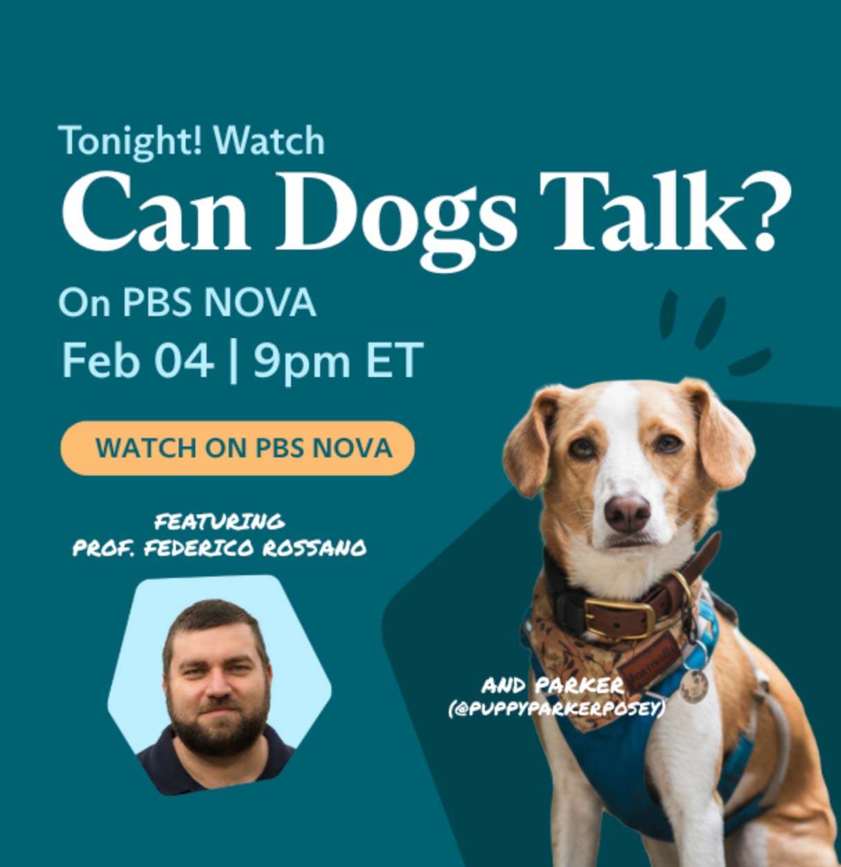 Can Dog Talk? On PBS NOVA