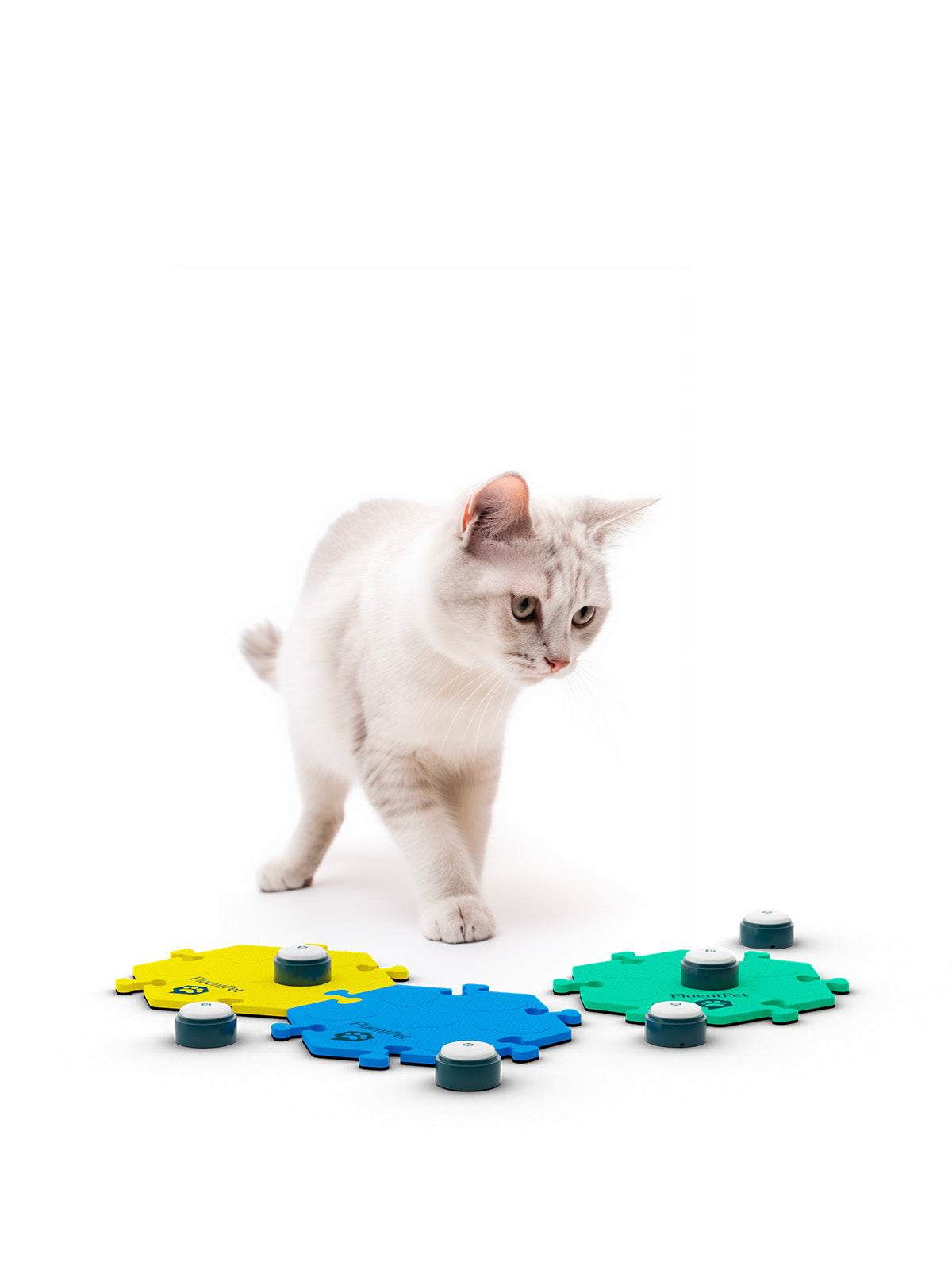 Cat Next Button Talking Cat Buttons#N#– FluentPet