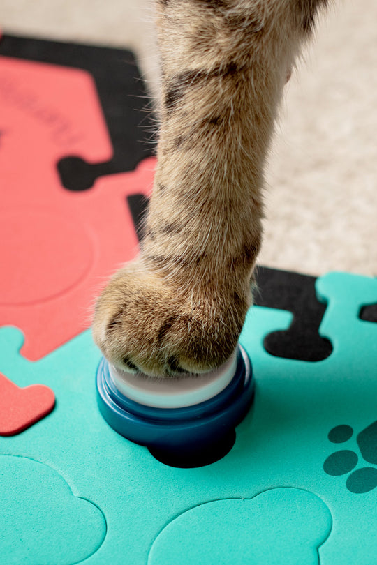 Talking Cat Buttons FluentPet