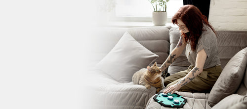 Talking Cat Buttons