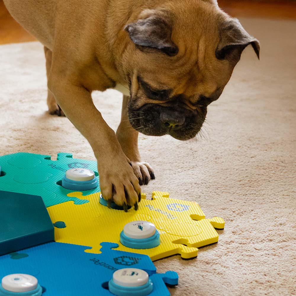 Dog Pressing Dog Talking Button