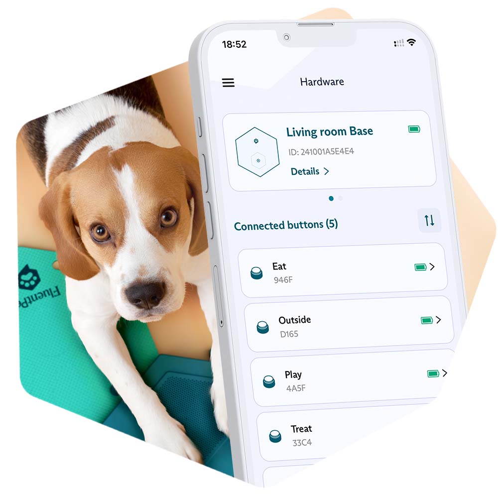 A Beagle dog at his FluentPet soundboard with an image of the FluentPet app.