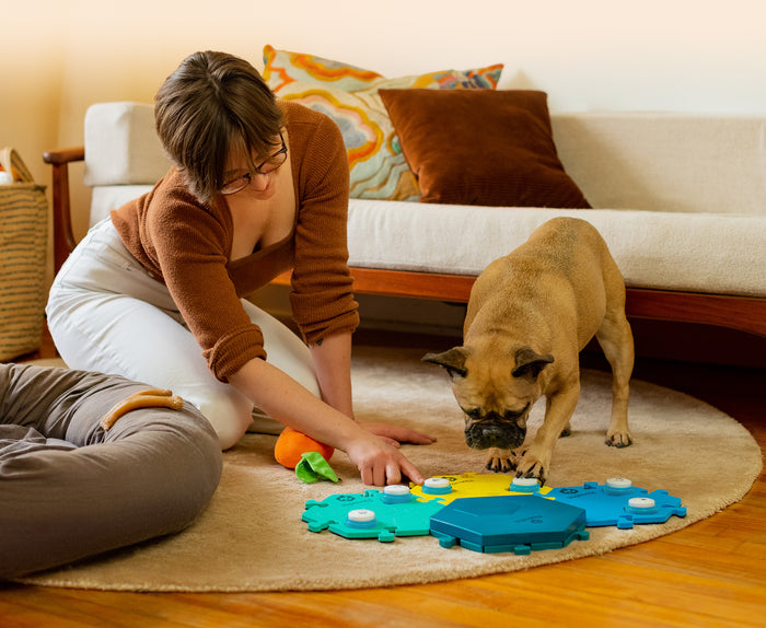 FluentPet Connect: The World's First Smart Button System