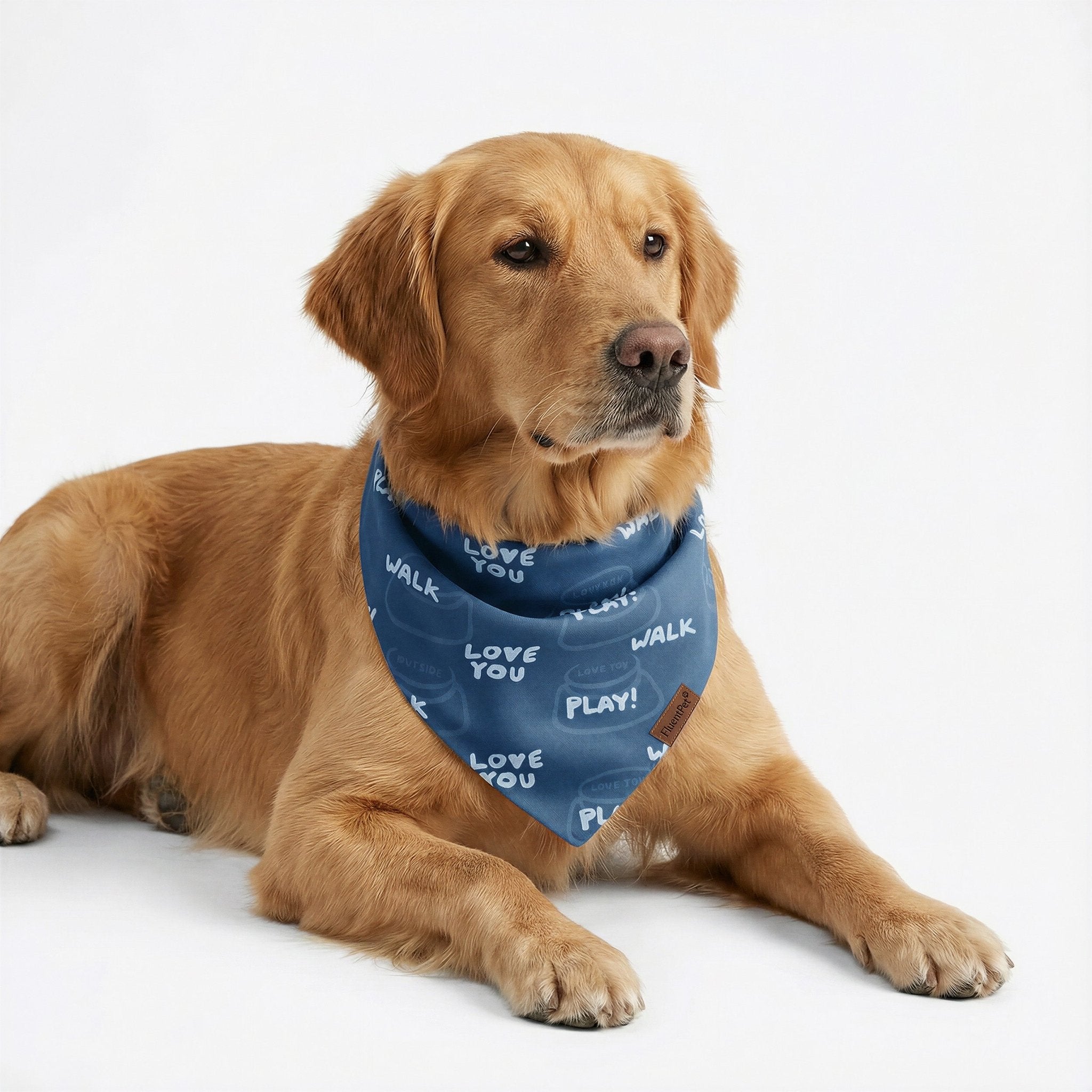 Dog wearing a blue bandana with white text on a white background