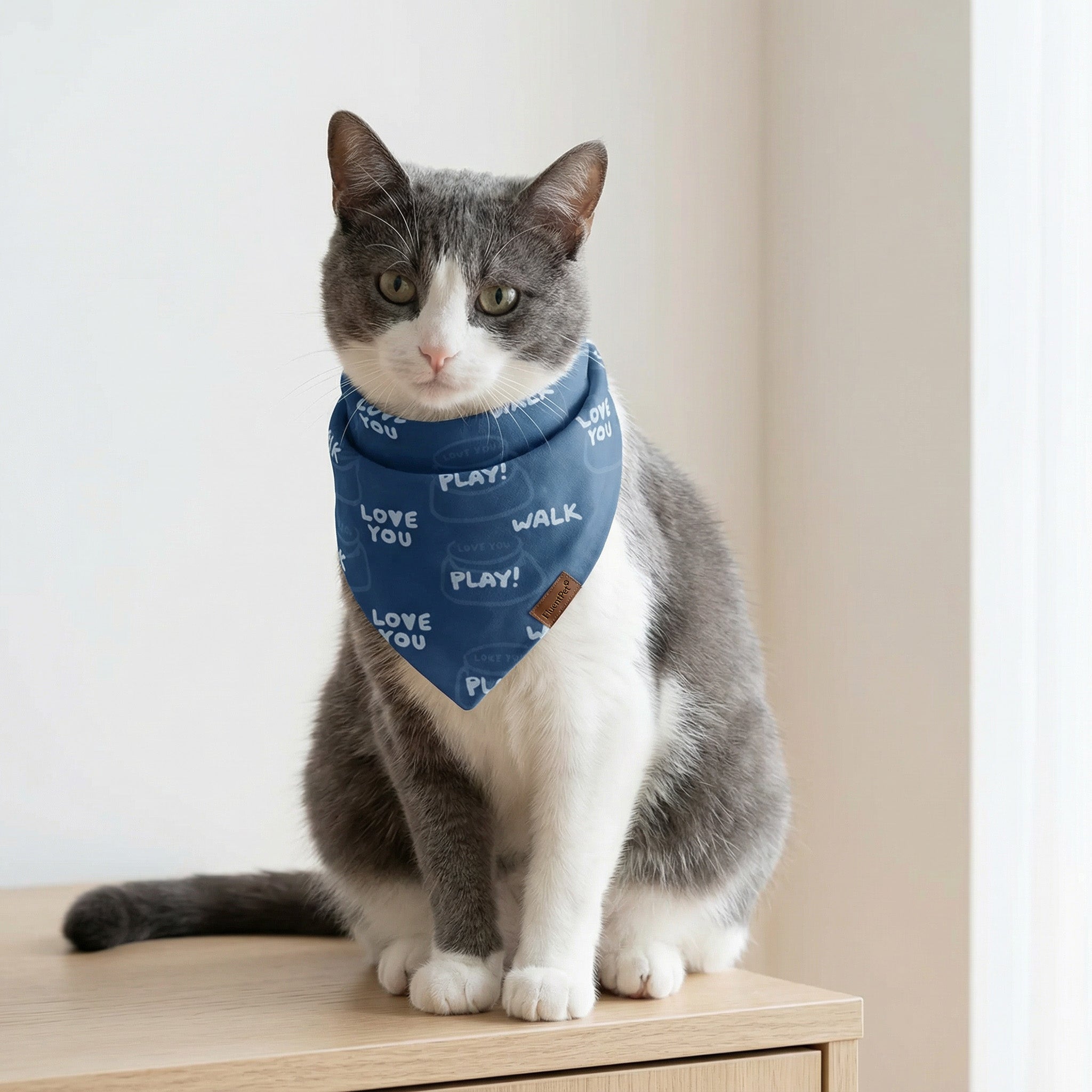 Cat wearing a blue bandana with text on a light wooden surface.