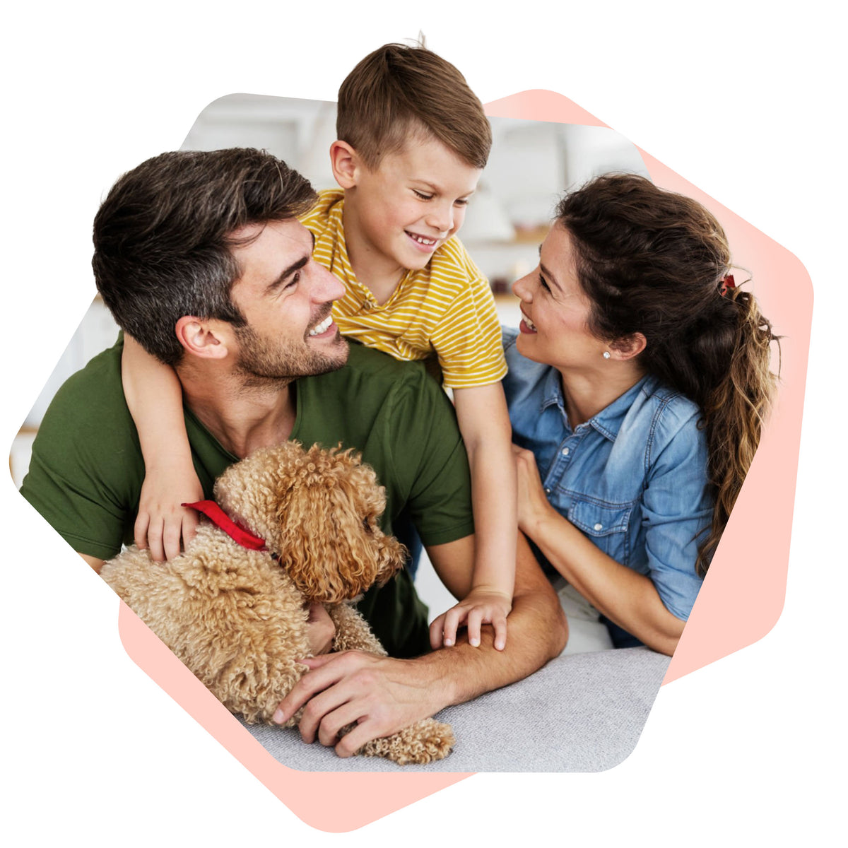 From new pet introductions to after-school enrichment, this kit helps parents, kids, and dogs grow closer.