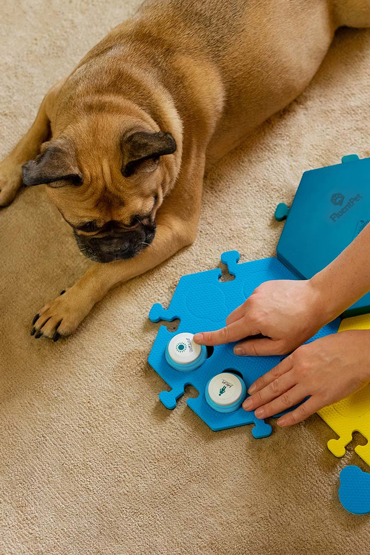 Cache Communicating Dog Talking Dog Buttons – FluentPet